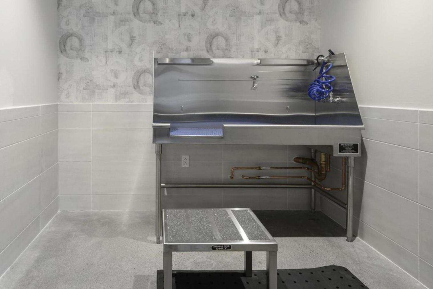 Apartment Central Sq 1br W Gym Doorman Roof Bos-314 *